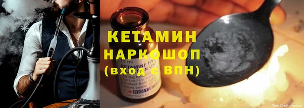 шишки Ельня