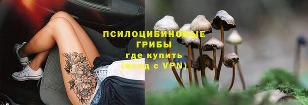 ешки Абинск