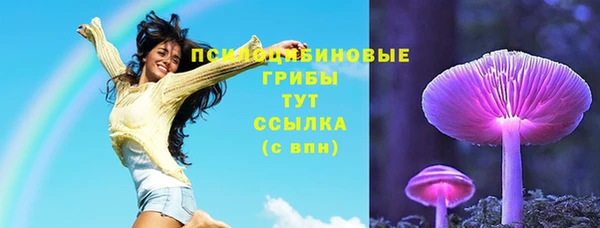 тгк Алзамай