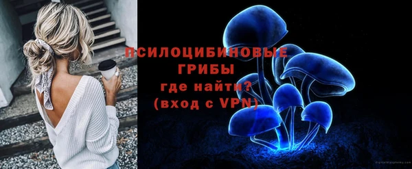 тгк Алзамай