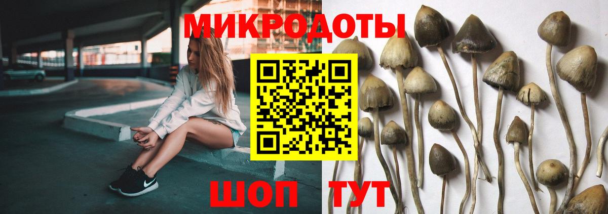 Дубна  что такое наркотик  Вход с VPN  Псилоцибиновые грибы ЛСД 